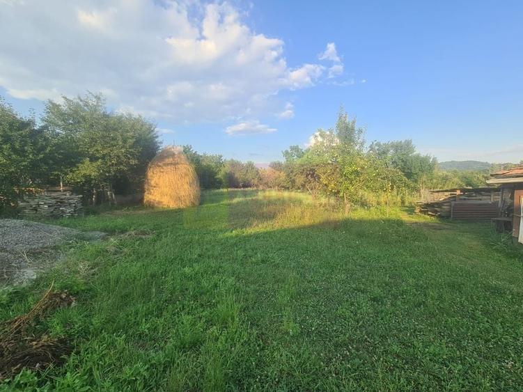 Casa de vanzare in Brebu - Zona Brebu Megiesesc - 3