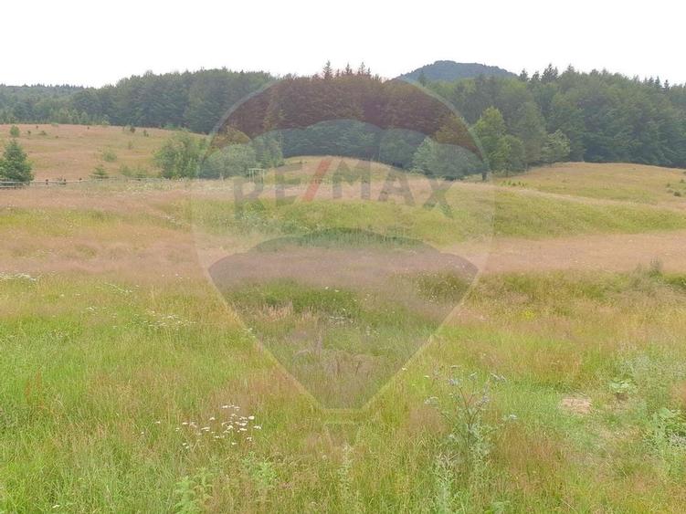 Teren 20000 mp, sat Dalghiu, com Vama Buzaului - 6