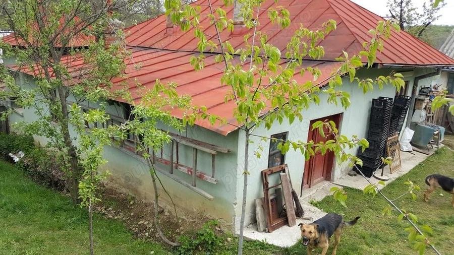Vand gospodarie taraneasca teren Com Danicei Sat Ciresu 7300mp la 18.000euro - 3