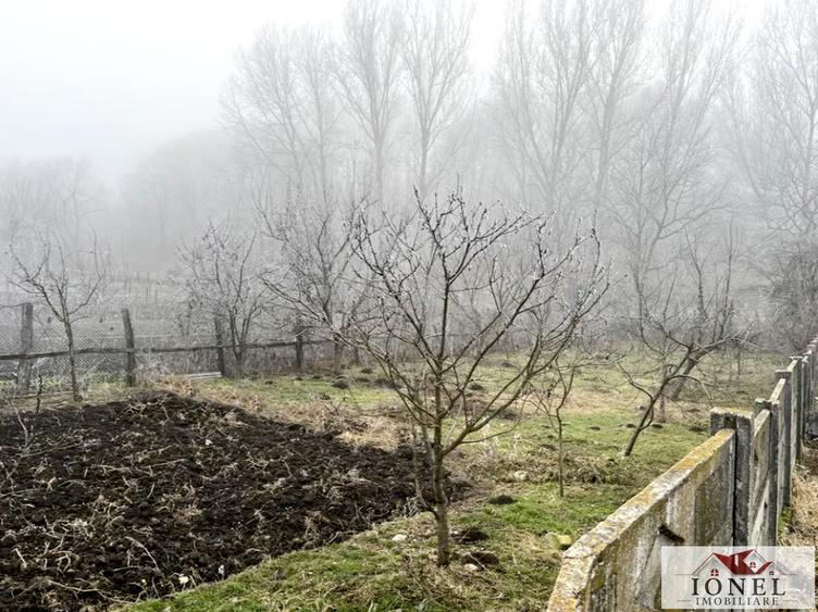 Vanzare casa in Ighiu - 5