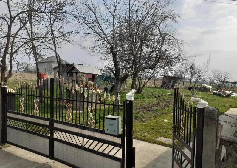 Asuaju de Sus, casa , 40 ari teren - 4