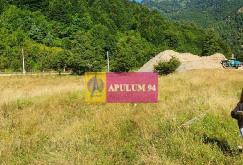 Teren Jude?ul Valcea - Brezoi, Valea lui Stan - 12