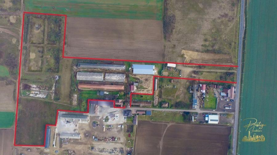 Domeniu - Centru de colectare, 7 ha de vanzare in Valea lui Mihai - 1