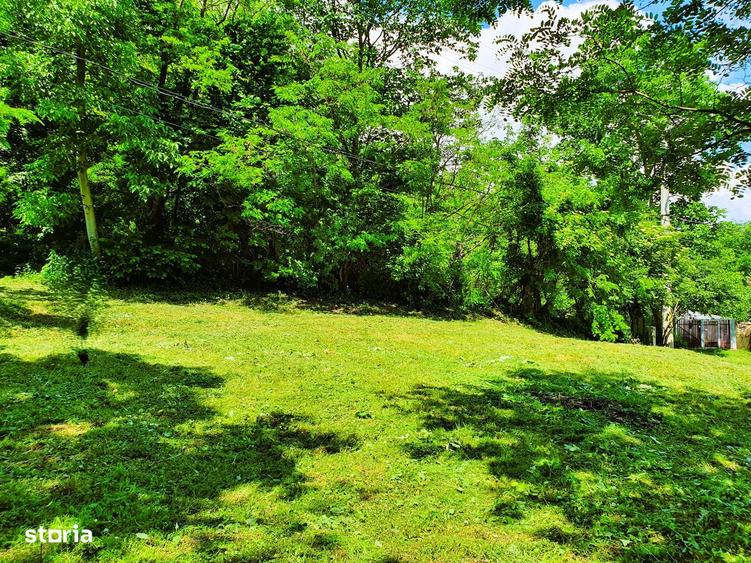 Teren intravilan 628 mp, Valenii de Munte - Teisani - 9