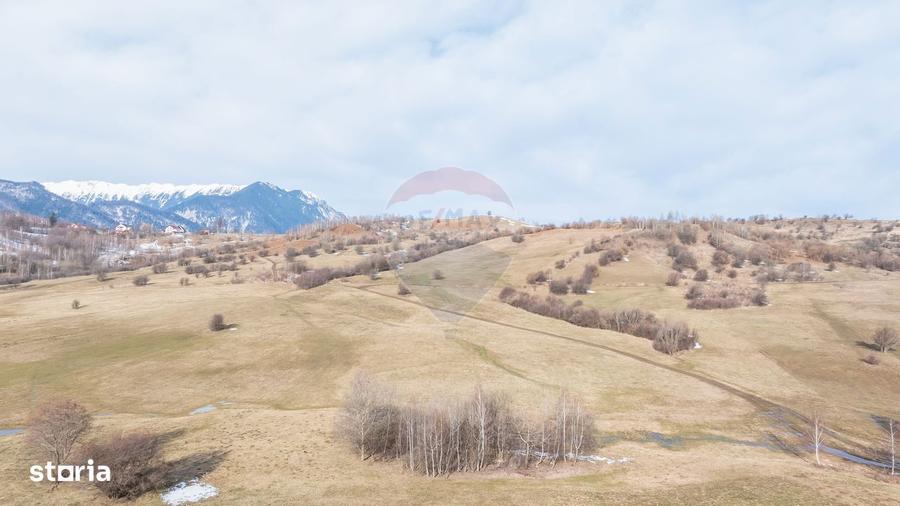 Teren Tohanul Nou 4500mp, in spate Wolf - 5