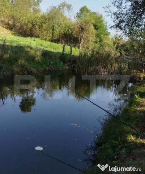 Teren intravilan 1150 mp cu cabana si balta, Sat Craesti - 2