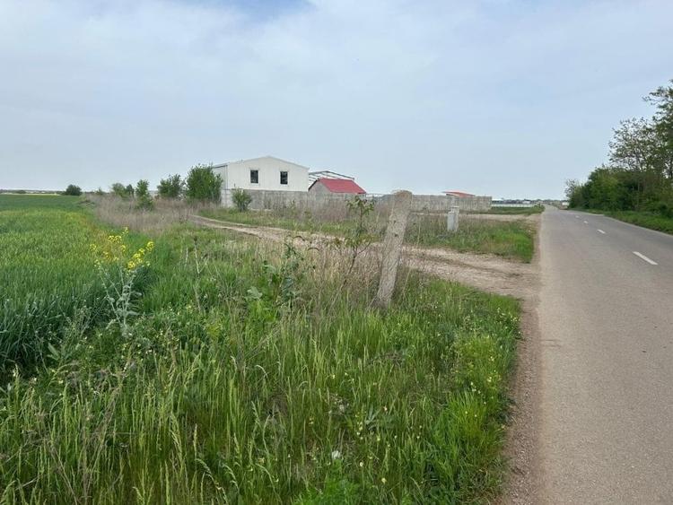 Comuna Dascalu - A0 - teren intravilan 9000 mp - 1