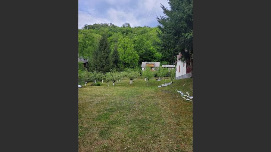Proprietate Unică în Inima Naturii – Galaoaia, Mureș - 3