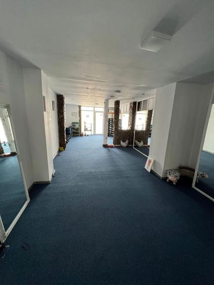 Casa de vanzare in Lugoj - 1