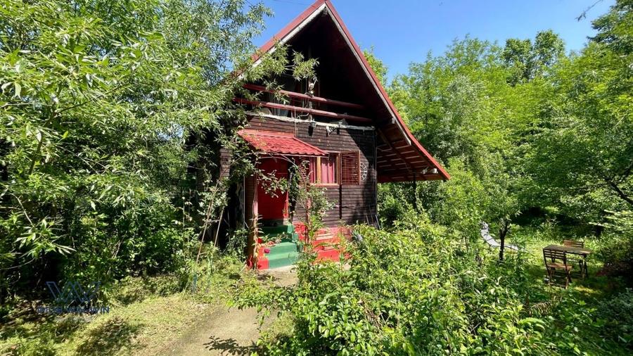 Casa Vacanta Babana! - 2