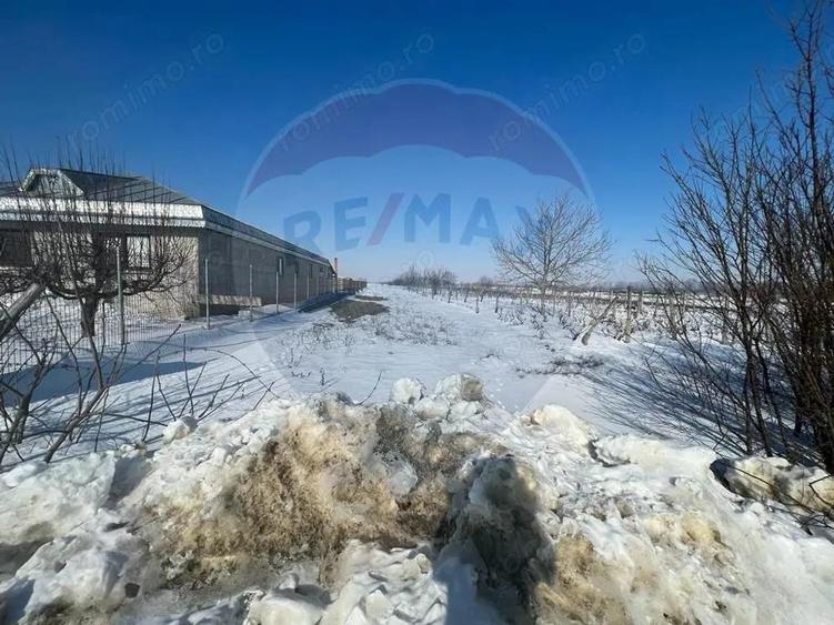 Teren intravilan Rastoaca - Varsatura - 1