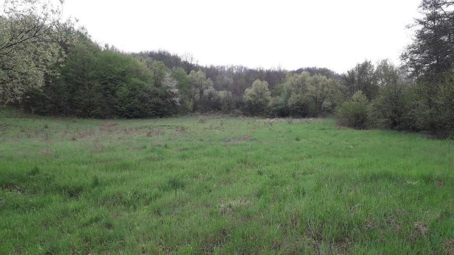 Teren vacanta.Teren la tara.casa vacanta.padure.deal PetrisCorbesti AR - 2