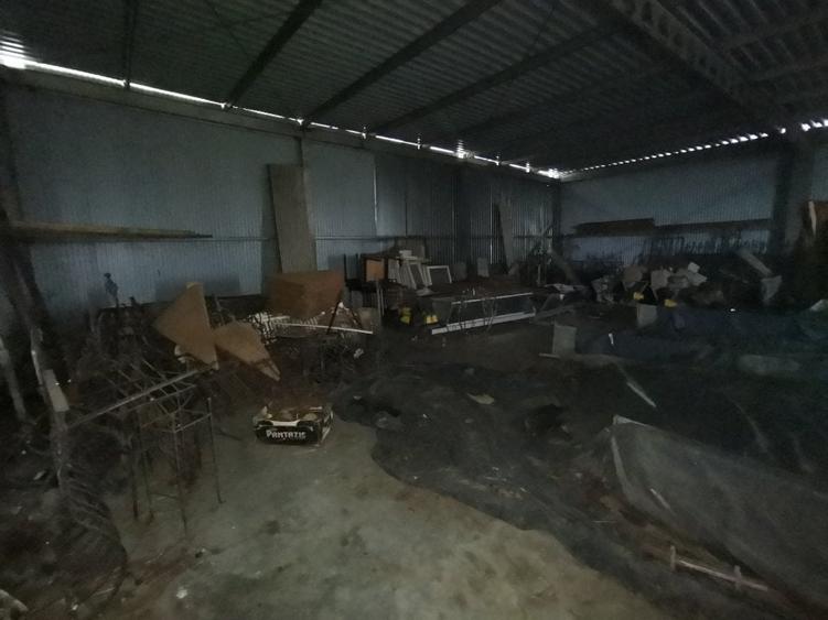 Hala Padureni 300 mp - 2