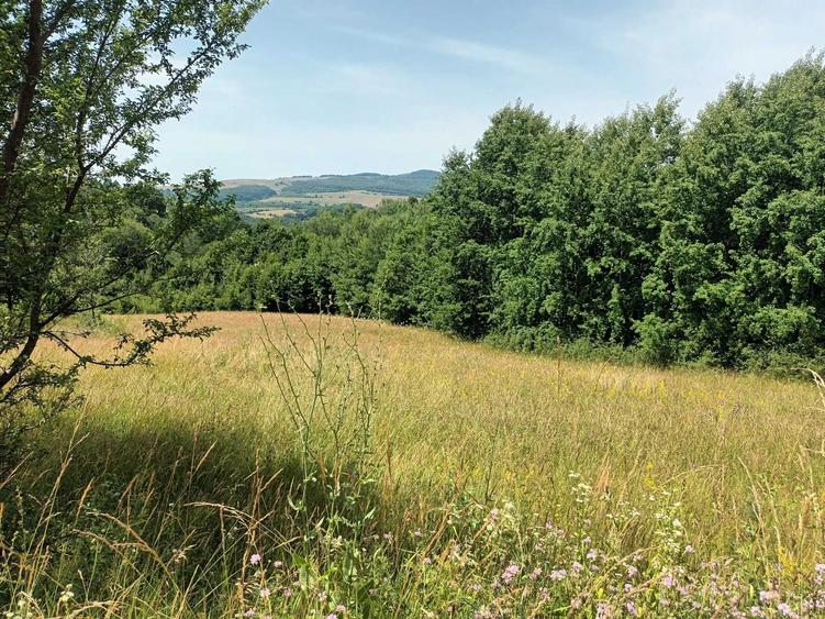 Teren in Capet, Sovata 2500mp - 4