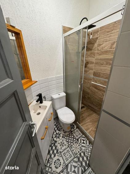 Apartament living + dormitor , mobilat , Centru , Ideal investitie ! - 5
