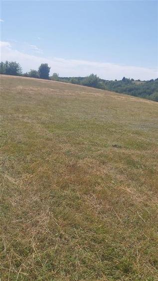 RECO, Teren intravilan, zona Sinteu, 2 Km de Huta Slavia - 3