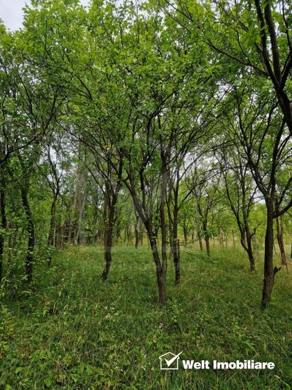 O noua viata la tara, la doar 28 km de oras! - 23