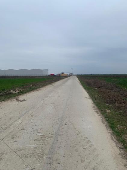 Afumati DJ 200 Teren extravilan - 1