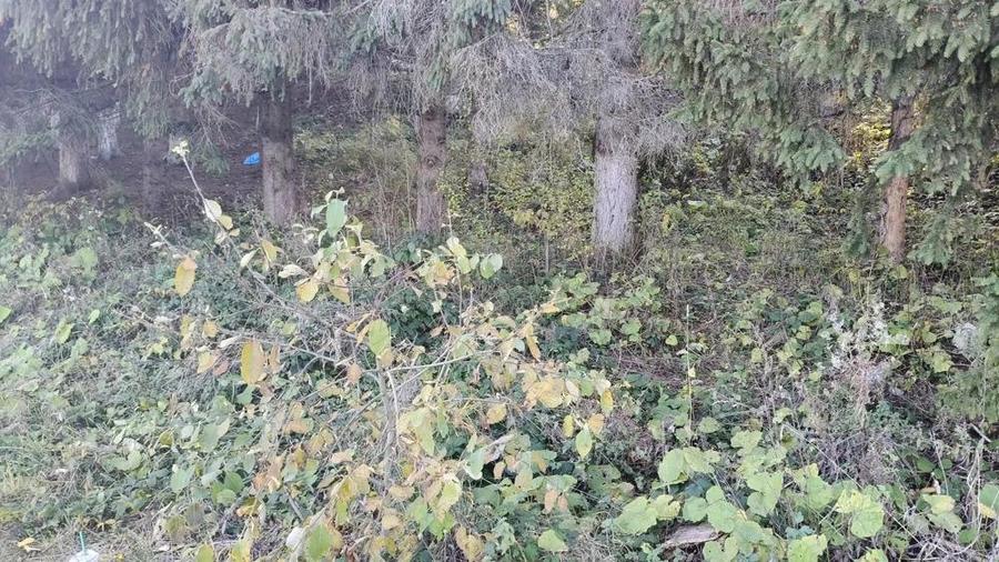 Teren intravilan situat in Predeal-Paraul Rece - 4