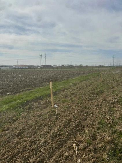 PROPRIETAR Teren langa satul Bungard - 4