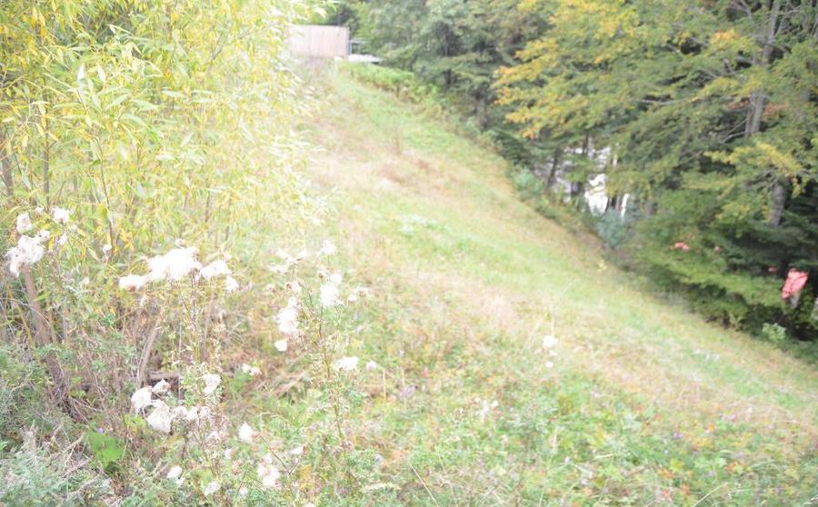 Busteni-Teren de vanzare cu o panorama superba - 7