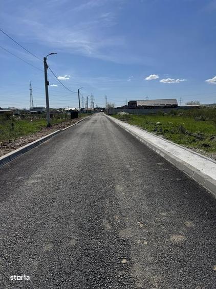 Loturi de 500MP zona Walter - Prelungirea Linistii - 6