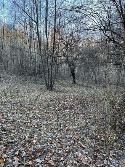 Teren de 15000 mp, în Valea