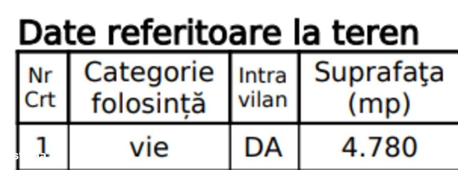 Spațiu comercial, în Dumbrăveni