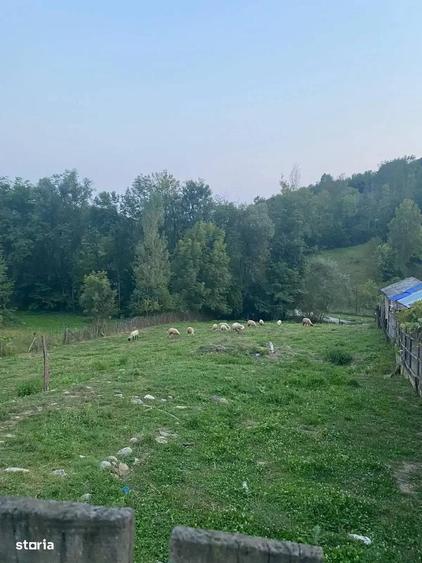 Teren De Vanzare 1.688 Mp| Sultanu | Visinesti | Dealurile Sultanului - 3