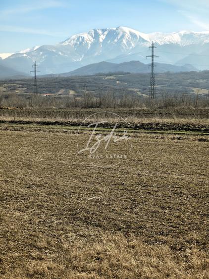 Teren agricol extravilan de 2800 mp, în Tălmaciu