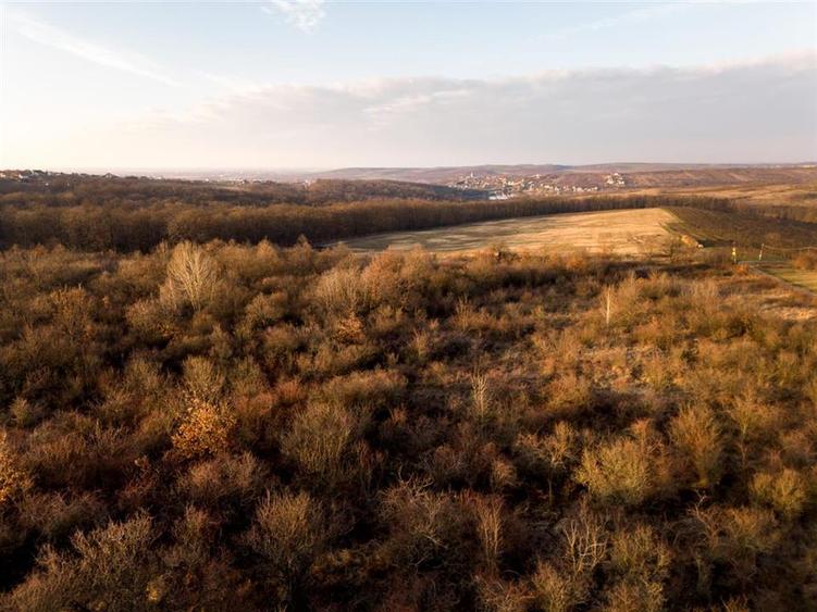Teren intravilan de 4333 mp, în Săldăbagiu de Munte