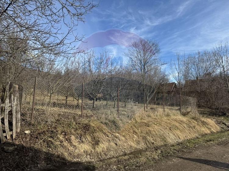Teren Construcții intravilan de 1271 mp, în Izvoarele (Livezile)