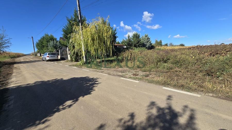 Teren Construcții intravilan de 1750 mp, în Nicolae Bălcescu