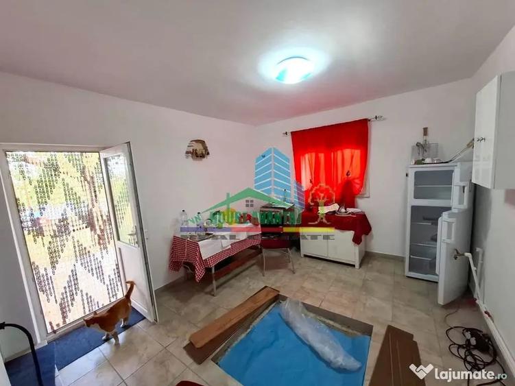 Casa si teren de vanzare Blidari - Cotesti - 10