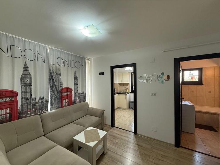 Apartament cu 1 camera, in zona Podu de piatra, langa Gara Nicolina - 3