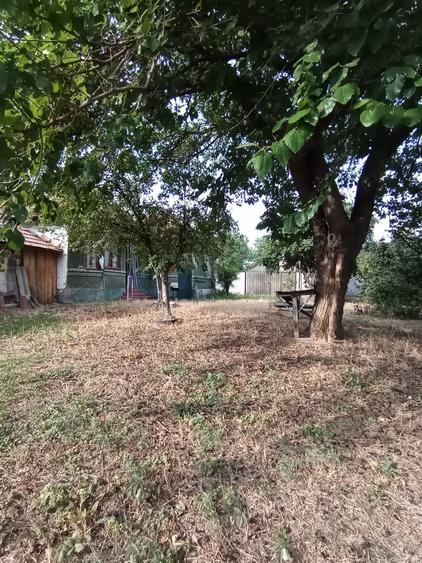 Vand teren intravilan(casa)Cioranca, Localitatea Movila Banului, Jud. Buzau - 7