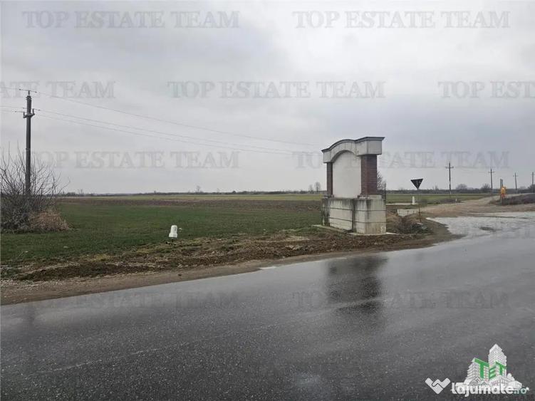 Teren comercial 7169mp la baza nod km35 pe A1 - 5