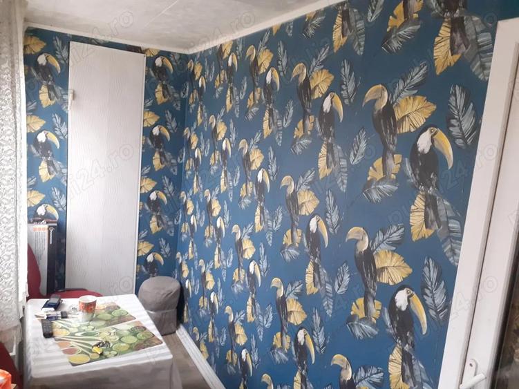 Vand casa noua 2025 zona vidin,strada teiului - 4