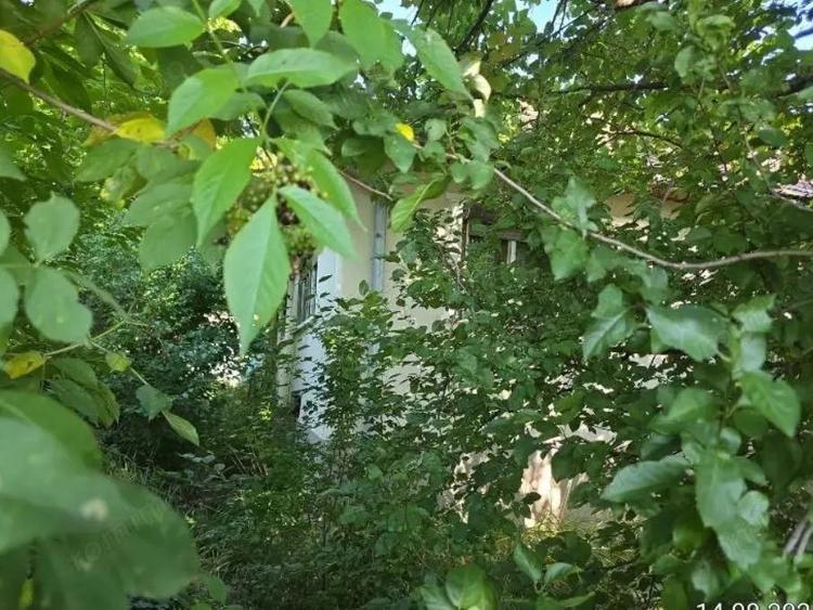 Cota de 3/64 Casa si teren com. Cizer, str. Principala, jud. Salaj - 2