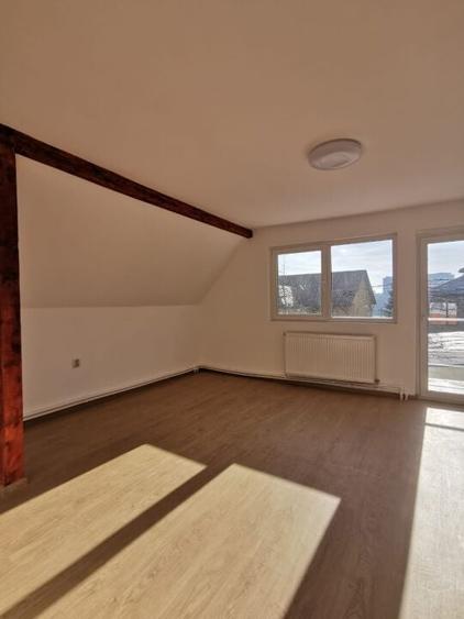 Dobroesti 5 Camere Vila La Curte - 17