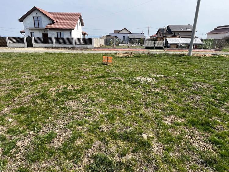 Teren de vanzare - 4