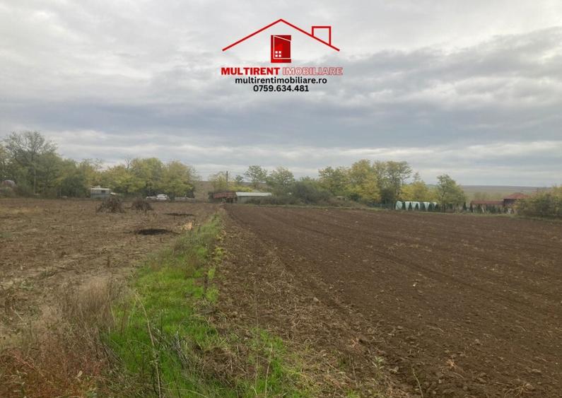 Teren cu casa de vanzare in Randunica (Mihail Kogalniceanu) Tulcea! - 5