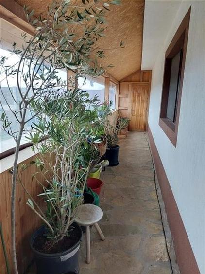 Casa de vanzare Mihail Kogalniceanu Tulcea - 10