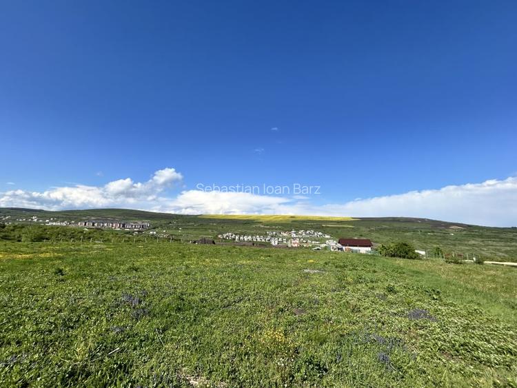 Teren Valea Chintaului / Cluj 5.547mp  parcelabil