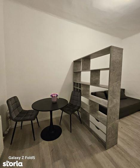 Apartament cu 1 camera, curte proprie separata Ultracentral Oradea - 6