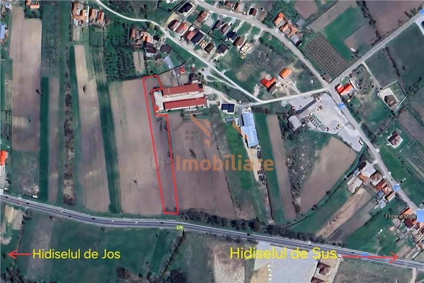 TEREN INTRAVILAN | 4300 MP | HIDISELUL DE SUS | BIHOR - 4