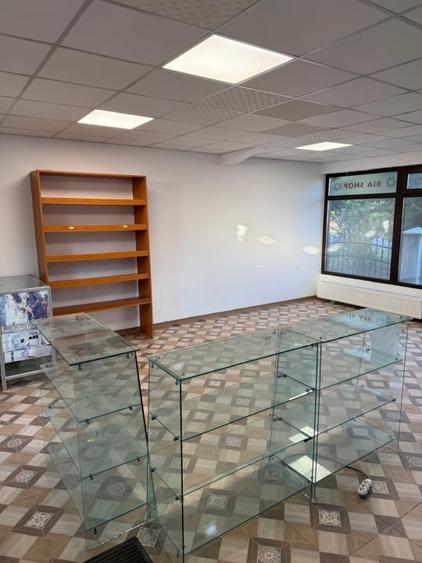 Spatiu Comercial de 100 mp de Inchiriat – Cartier Trivale, Str. Campului-750 eur - 9