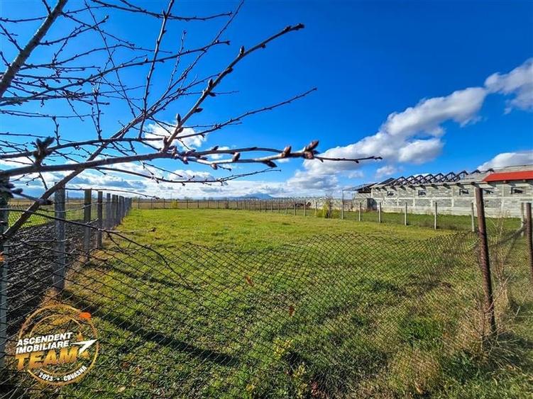 Tur 3D! Casa autentica cu sura,1.800mp teren, in statiunea balneara Valcele,Arac - 5