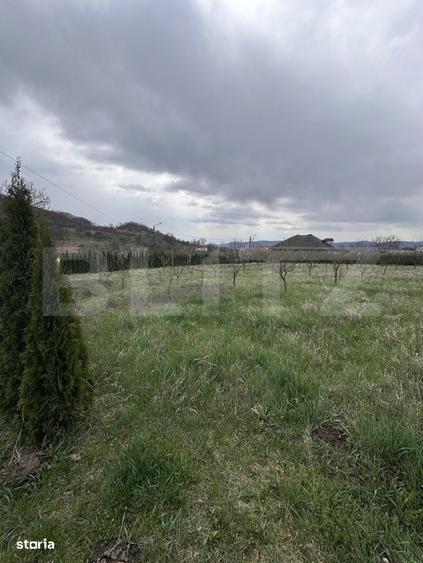 Casa de vanzare, zona deosebita , teren generos,Salisca - 8
