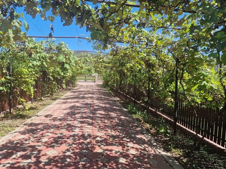 Casa/Vila Buhoci,judetul Bacau - 4